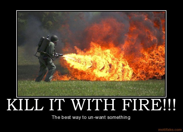 kill-it-with-fire-demotivational-poster-_f3d7ef8f090f794474334be2cadfebfa1e5fd911.jpg