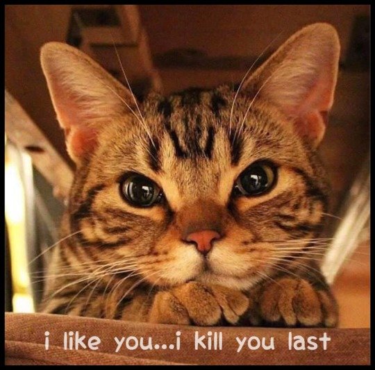 kill-last.jpg