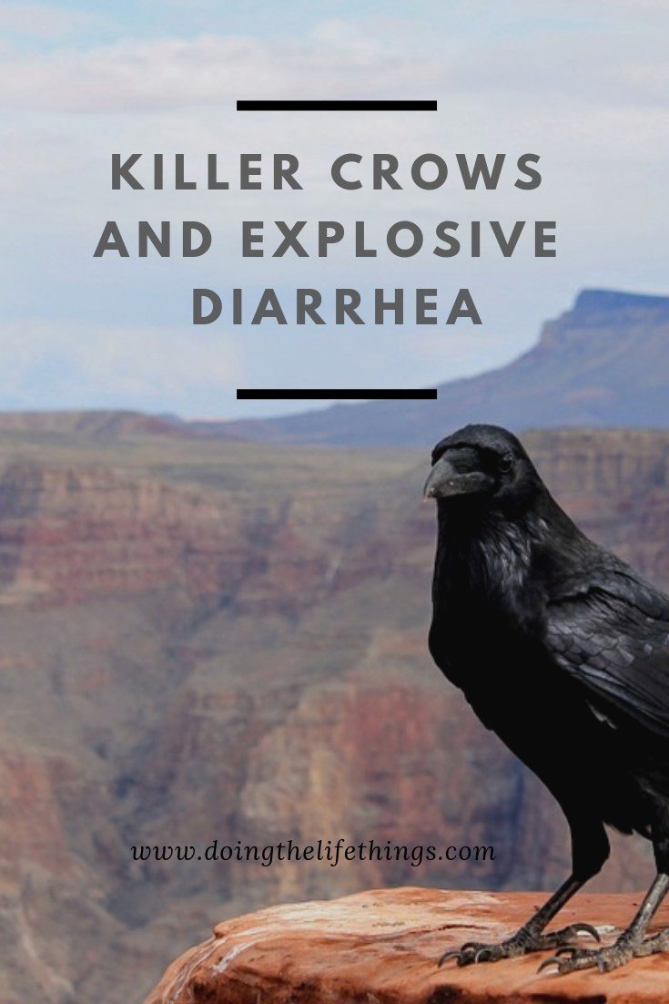 Killer-Crows-and-Explosive-Diarrhea.jpg