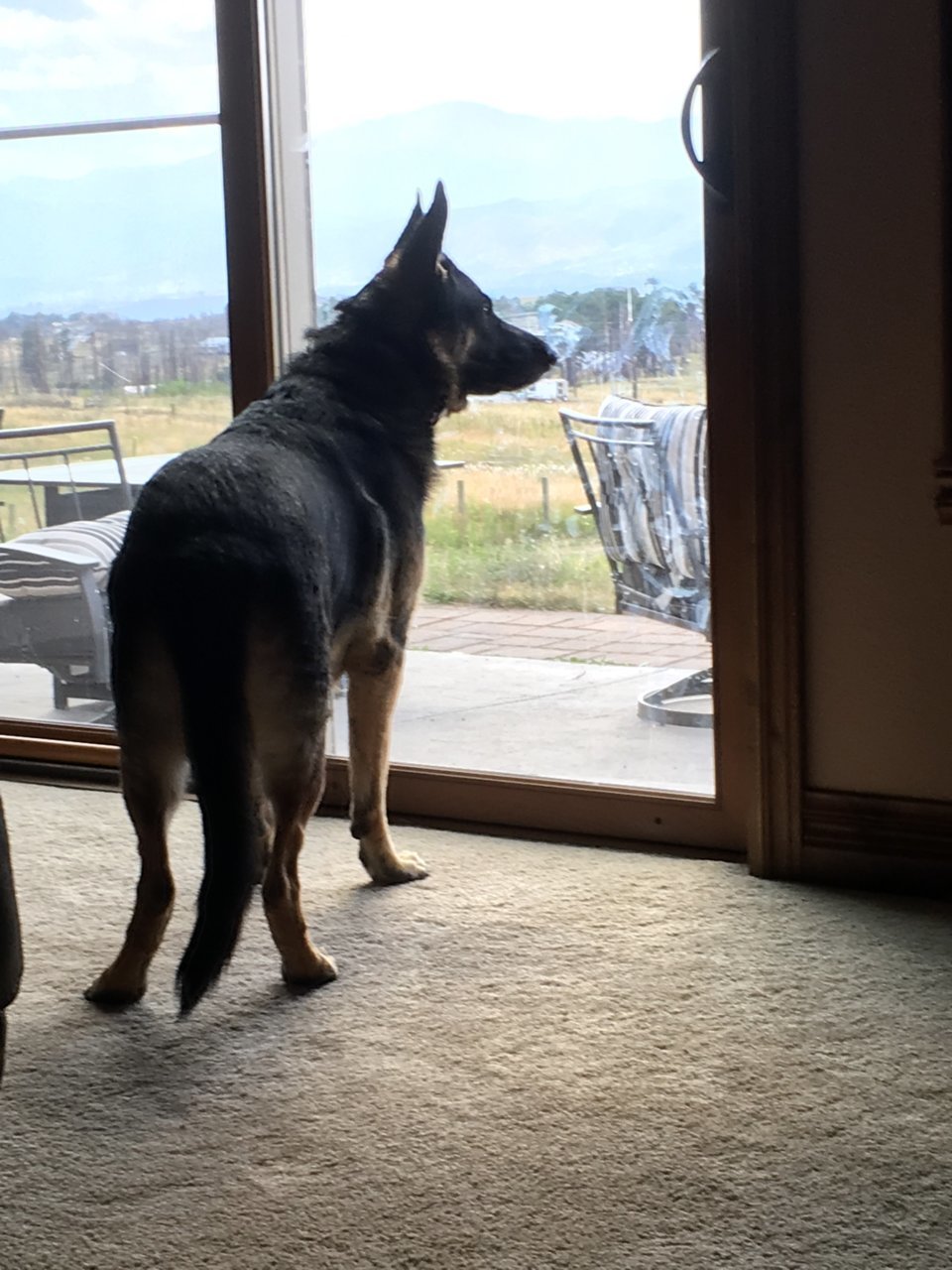 Kilo.jpg