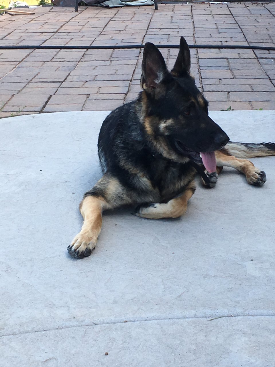 Kilo3.jpg