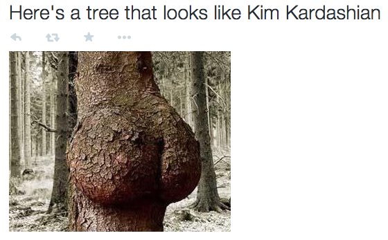 kim7.jpg