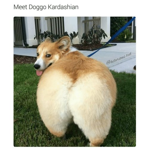 kim8.jpg