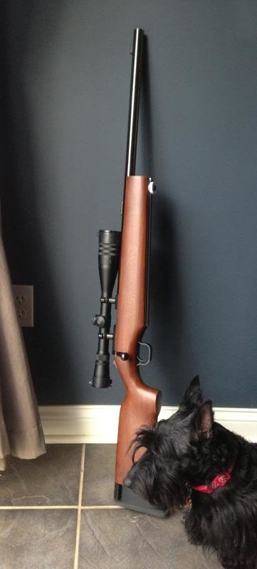 Kimber_zps7458ebc5_ff8fd72e2ab70dea8f98661cc3ad260133dbf6ac.jpg