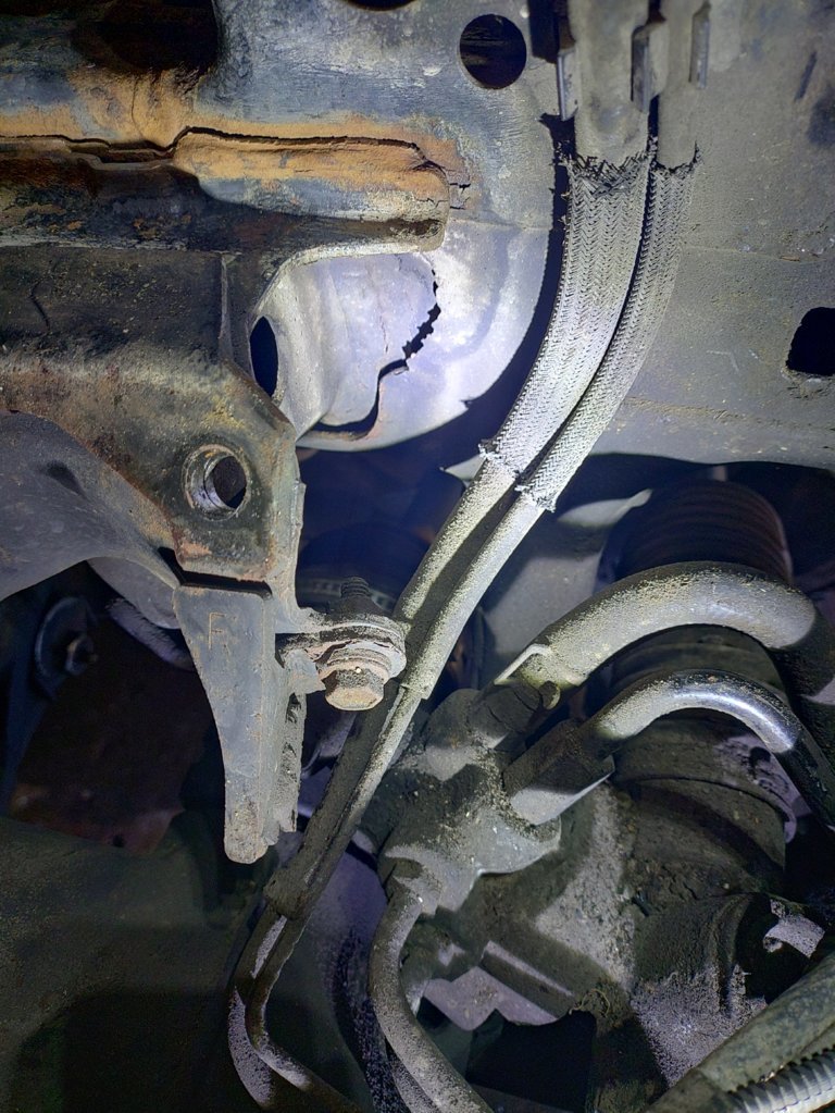 KIMG20250103_113659771.jpg