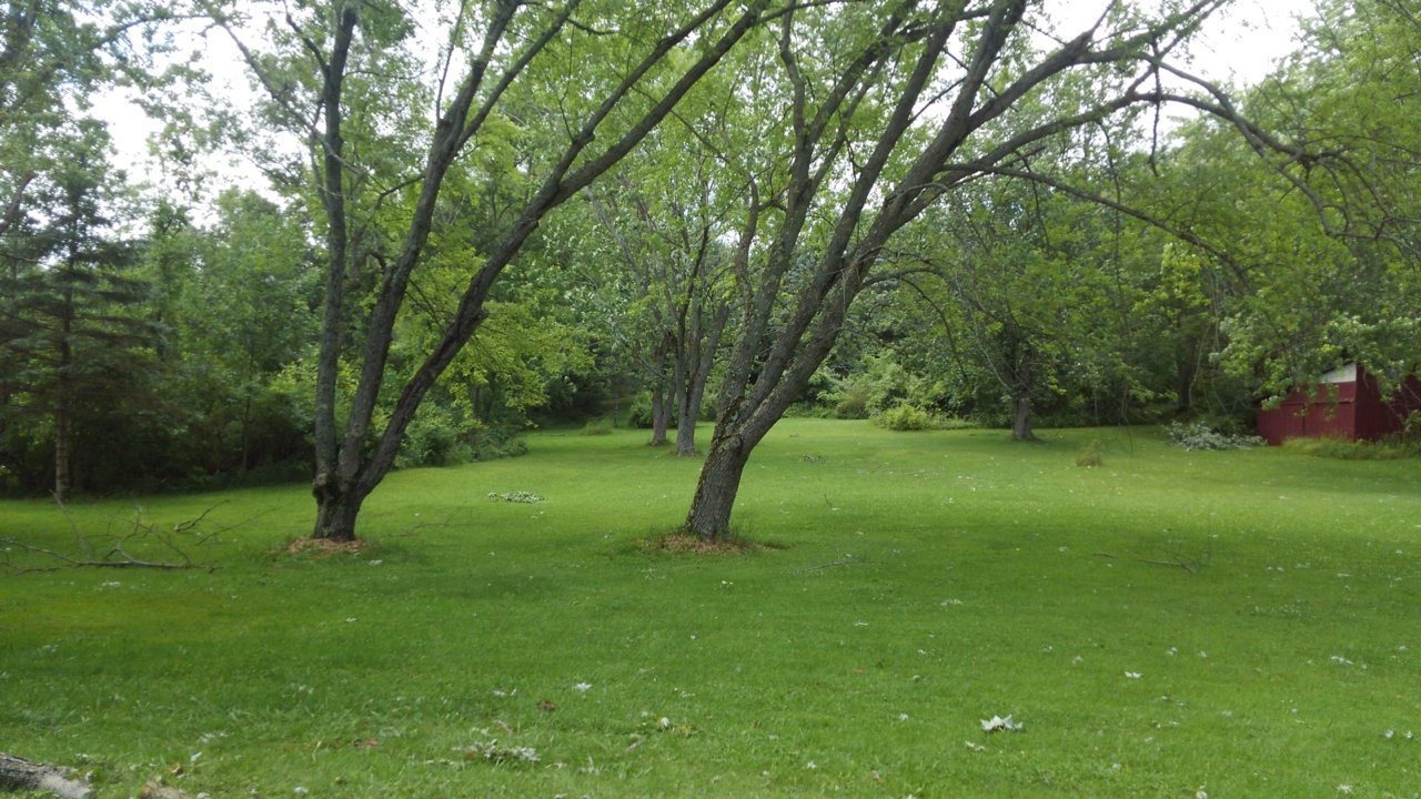 KIMG3185_01.jpg