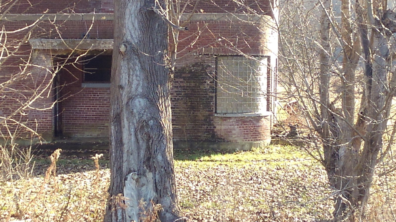 KIMG3664.jpg