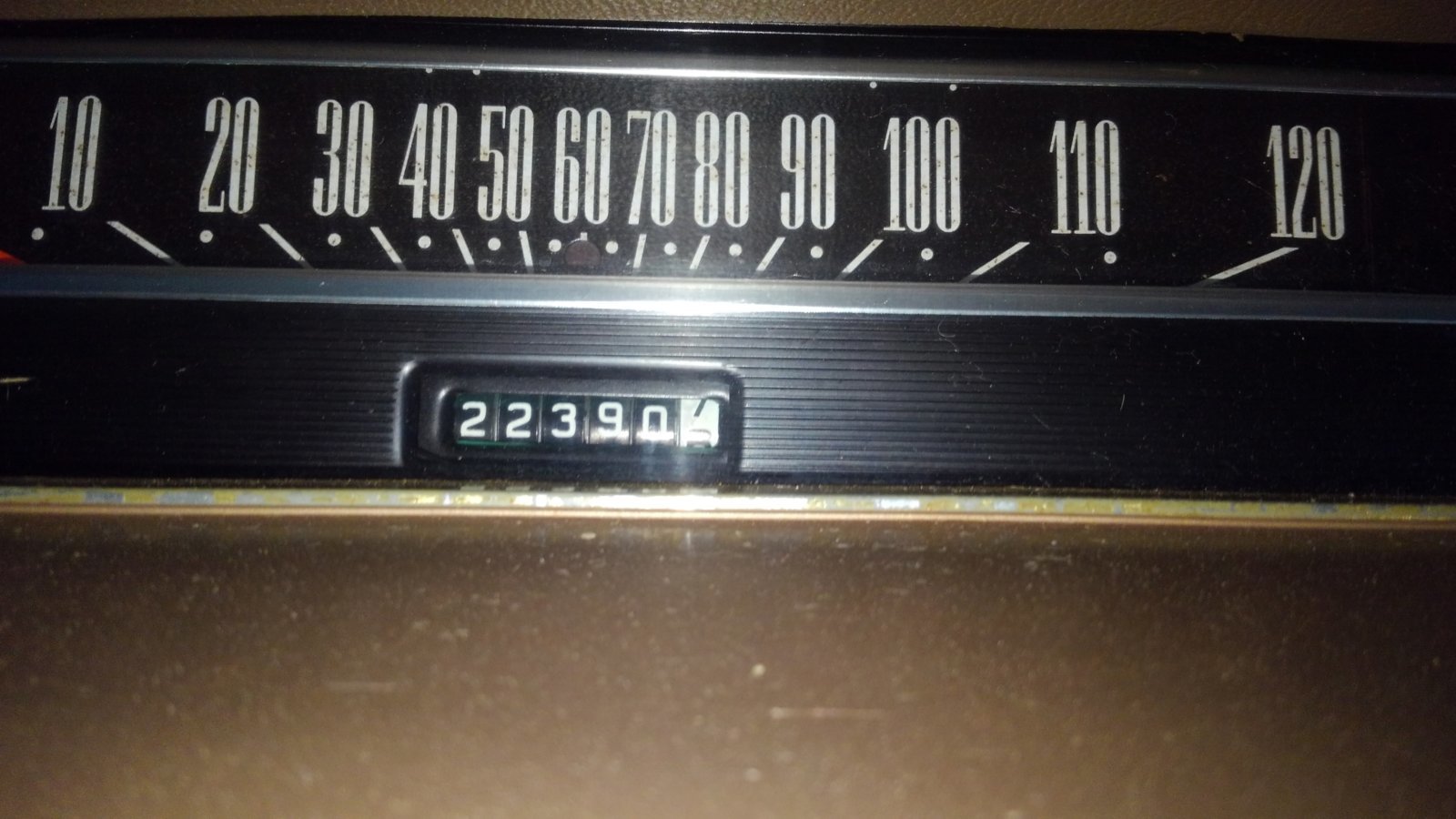 KIMG4186.jpg
