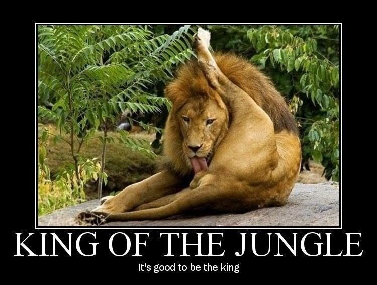 king_0d061f0607af1e1795d3a0627ee019719246ca91.jpg