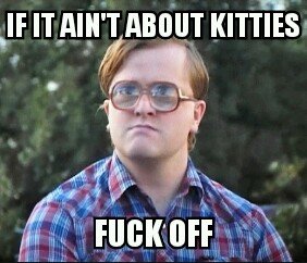 kitties.jpg