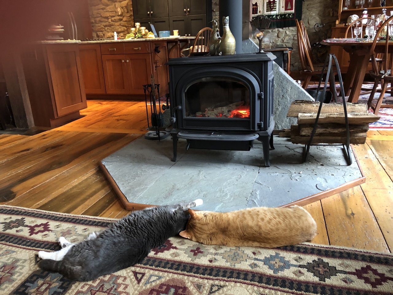 kitties_by_the_fire.jpg