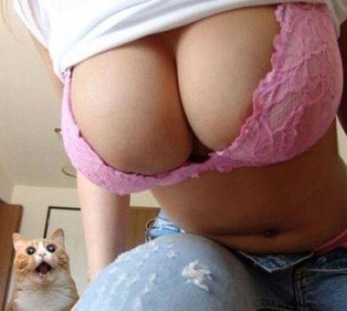KittyTitties.jpg