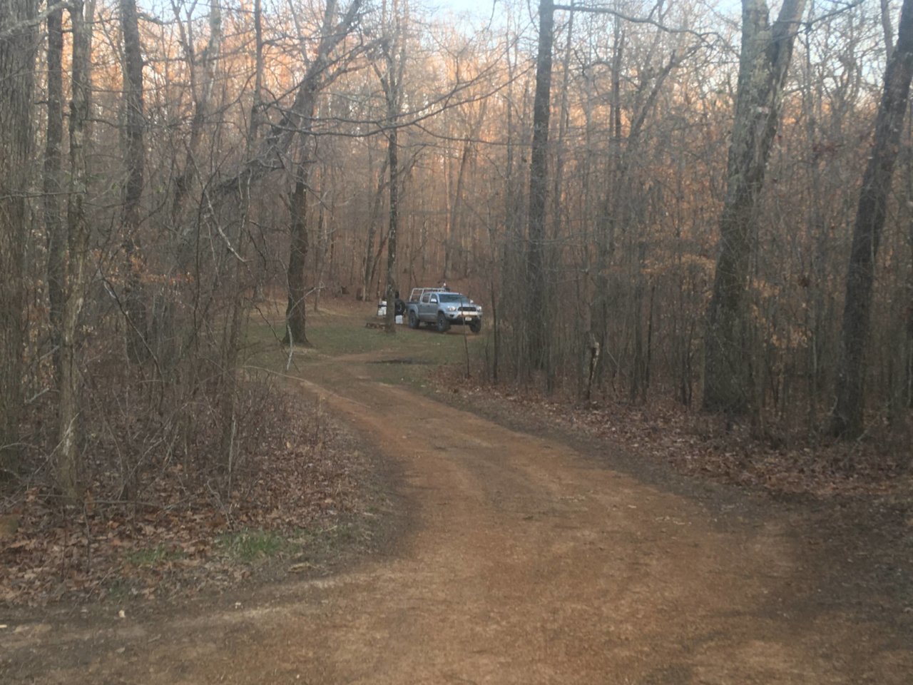 Knuckles Creek TH.jpg