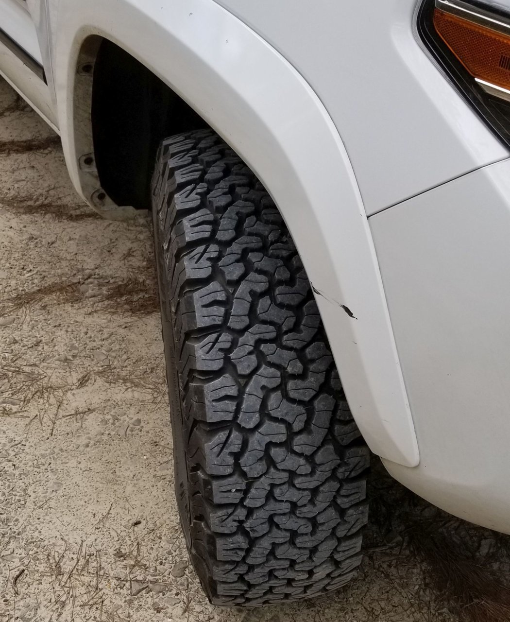 ko2.jpg
