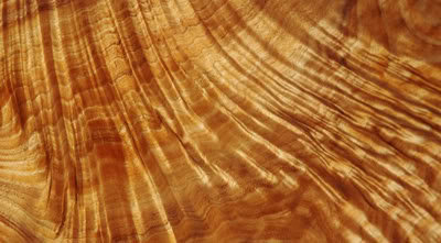 KoaWoodGrain_d0223a24045e44e45c3a58c3eca533ebe24e5f42.jpg