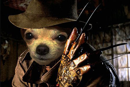 kruger.jpg