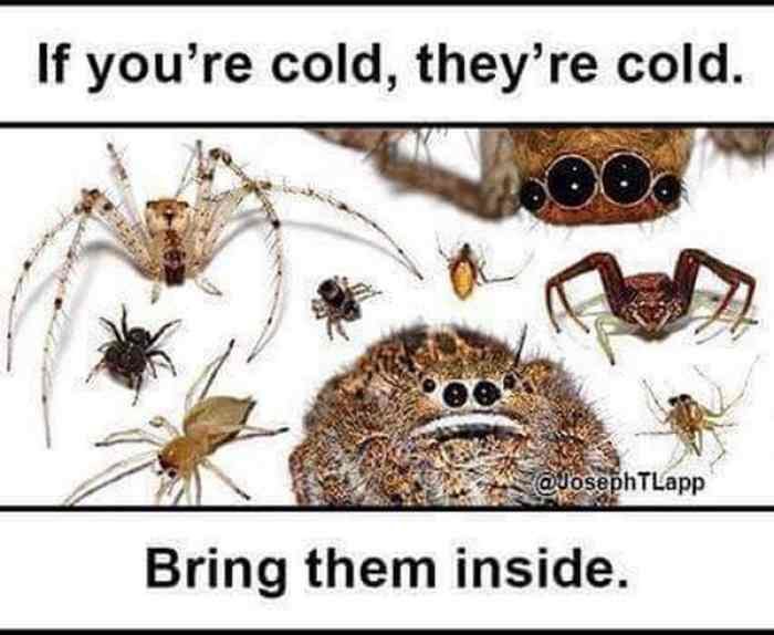 l-35300-if-youre-cold-theyre-cold-bring-them-inside.jpg
