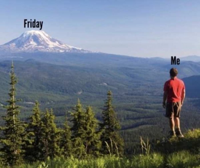 l-8372-looking-forward-to-friday.jpg