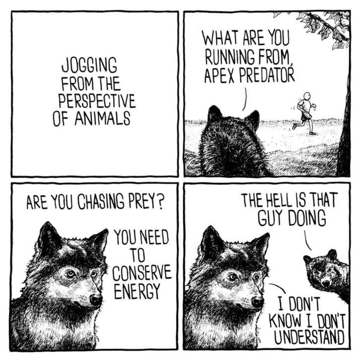 l7huskZg.jpg