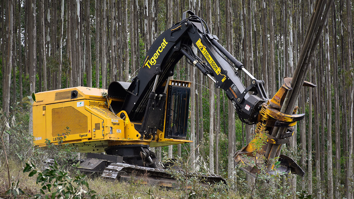 L855E-fg-2.jpg