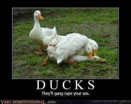 l_7e428acdb5f690fbbaf9b05a64bcf4f74204f7d7.jpg