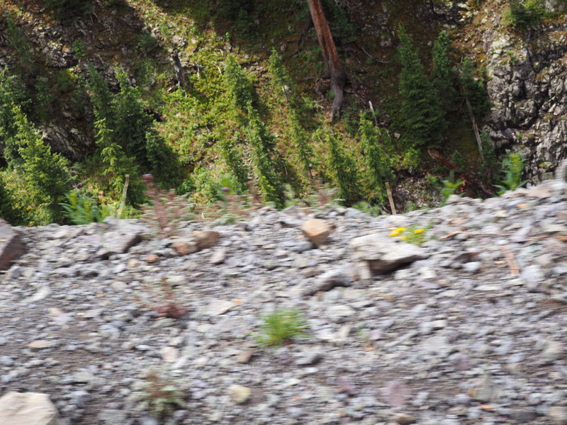 La Camera 129.jpg
