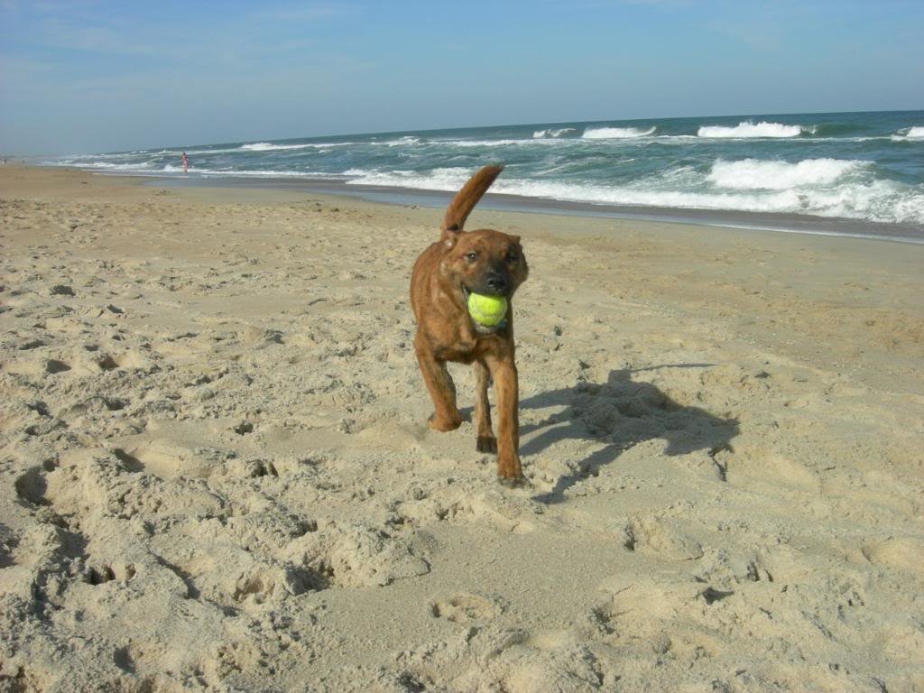 LaborDayBeach018_815e254af1d5744116b0f5c4e9325cb4a005694e.jpg
