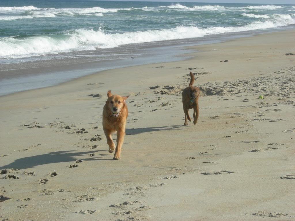 LaborDayBeach026_aa4398ea8aa748e81b675fa442f7a9e4e9554978.jpg