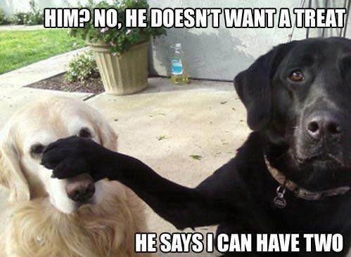 labs.jpg