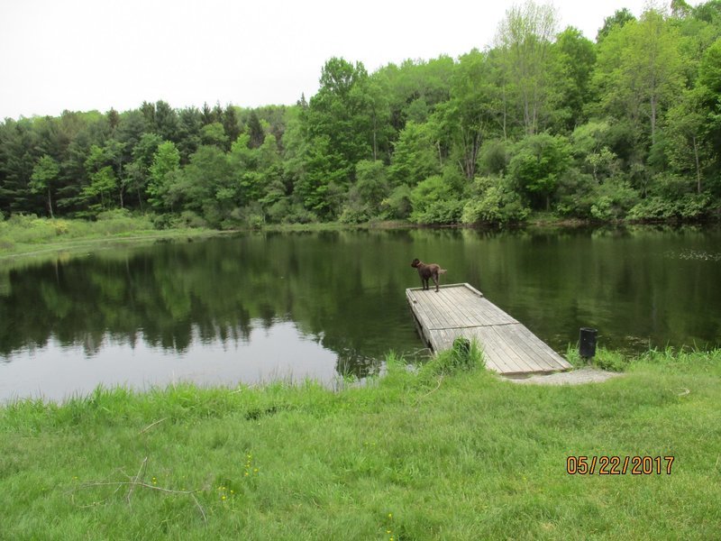 Lack St Park dock 5-22-17.jpg