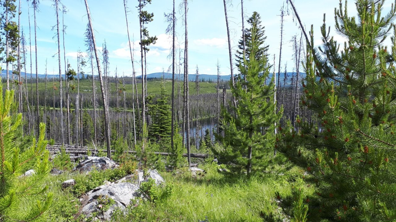 lake-hike-in.jpg