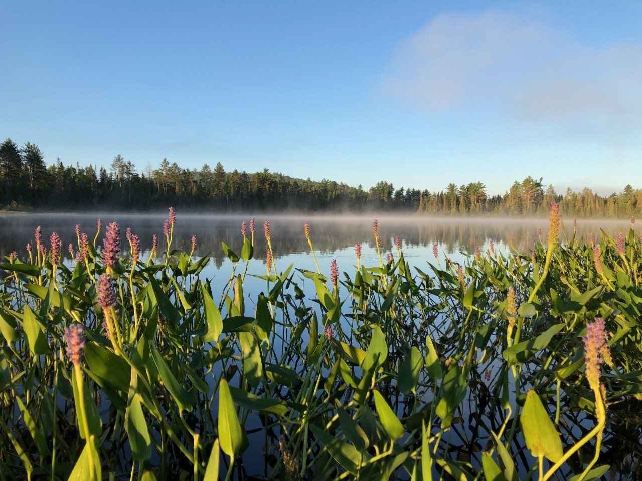 lake.jpg