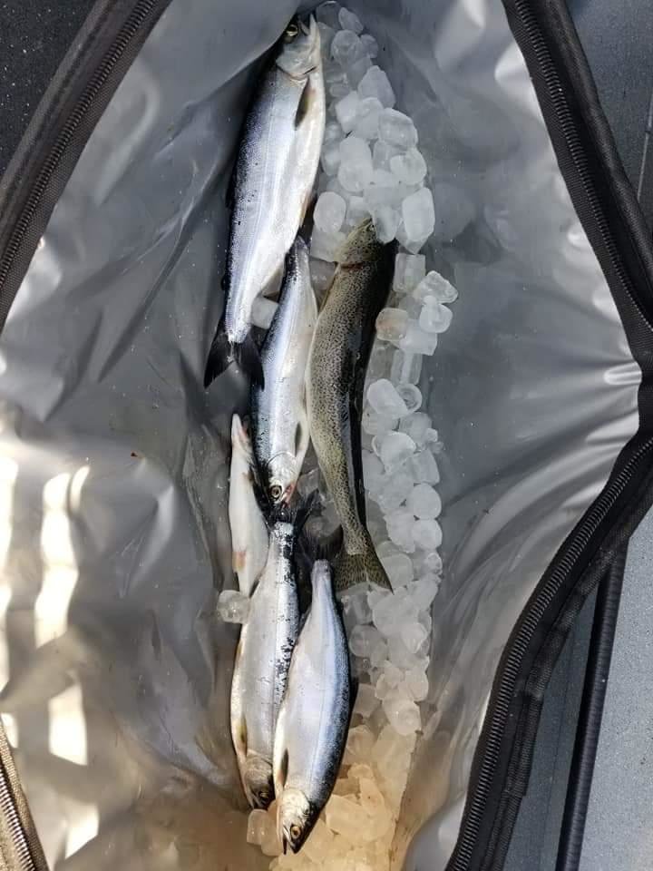 Lake Stevens 1.jpg