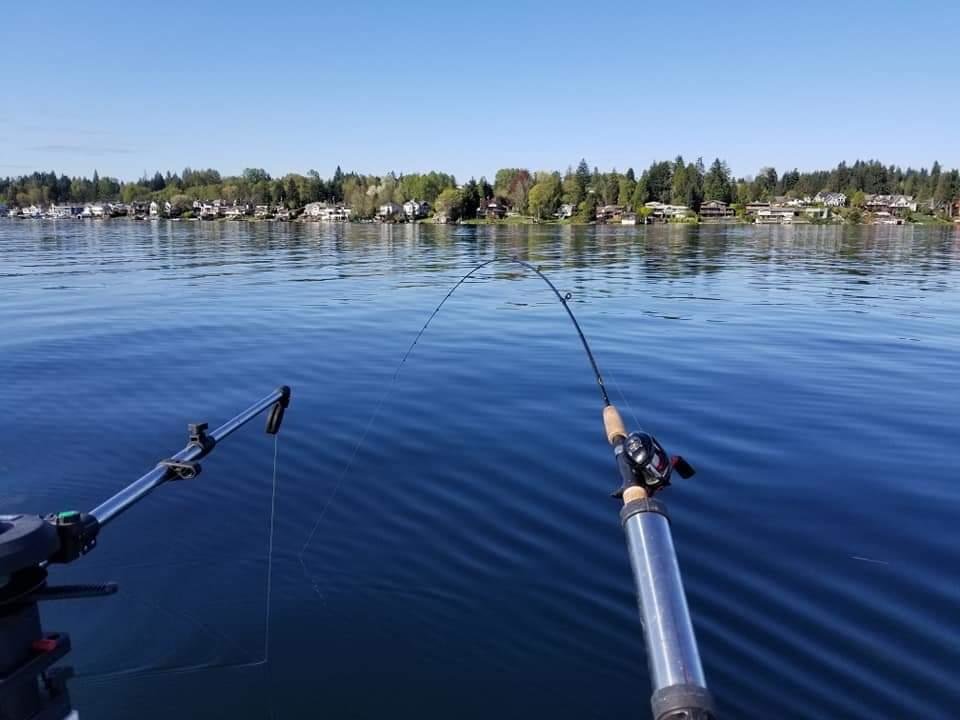 Lake Stevens 2.jpg
