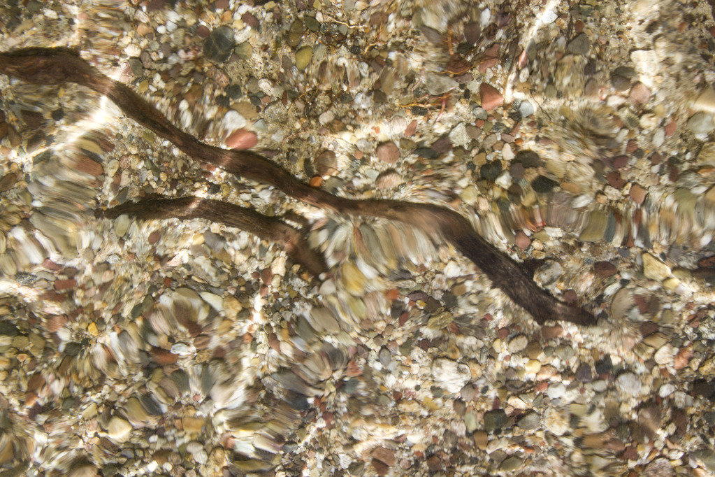 lakeshorereflection_6da05ada26fa567e98db56efffc4d291bfb18d6f.jpg