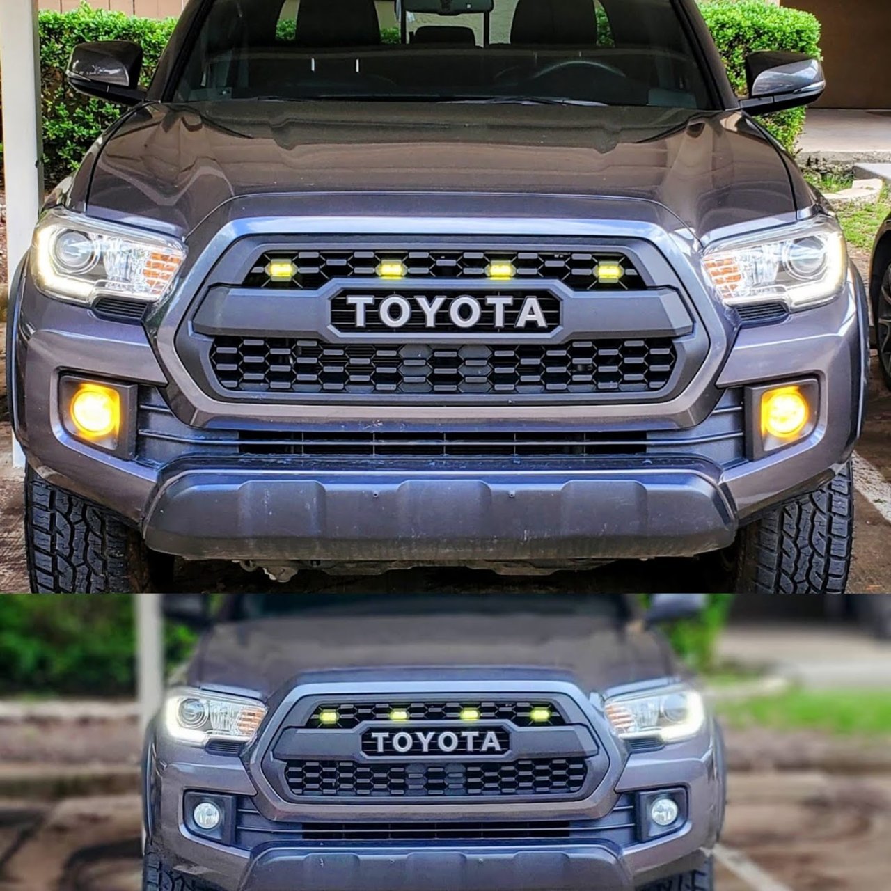 LaminX Fogs.jpg