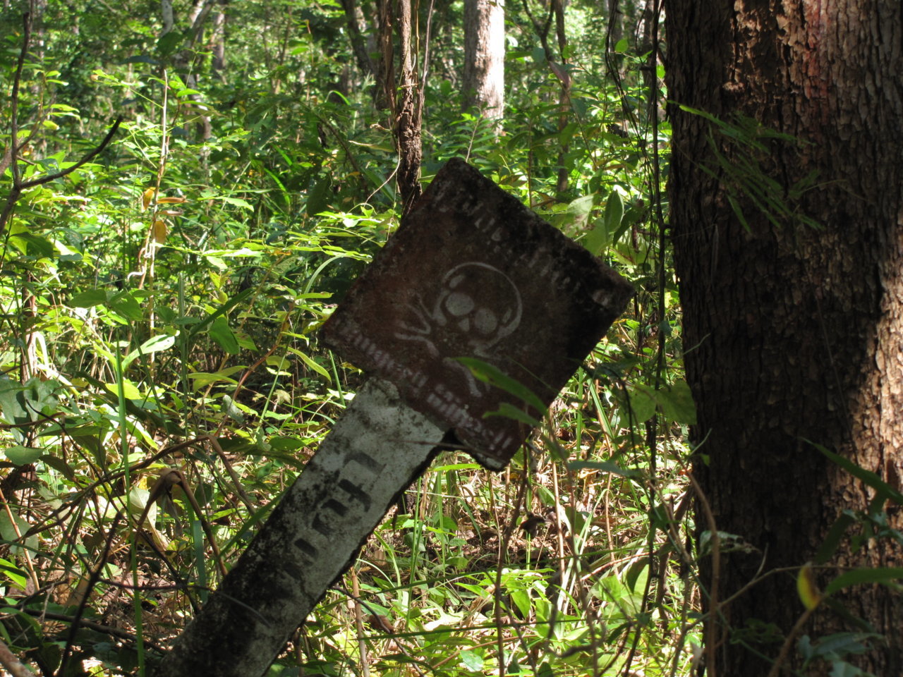land-mines.jpg