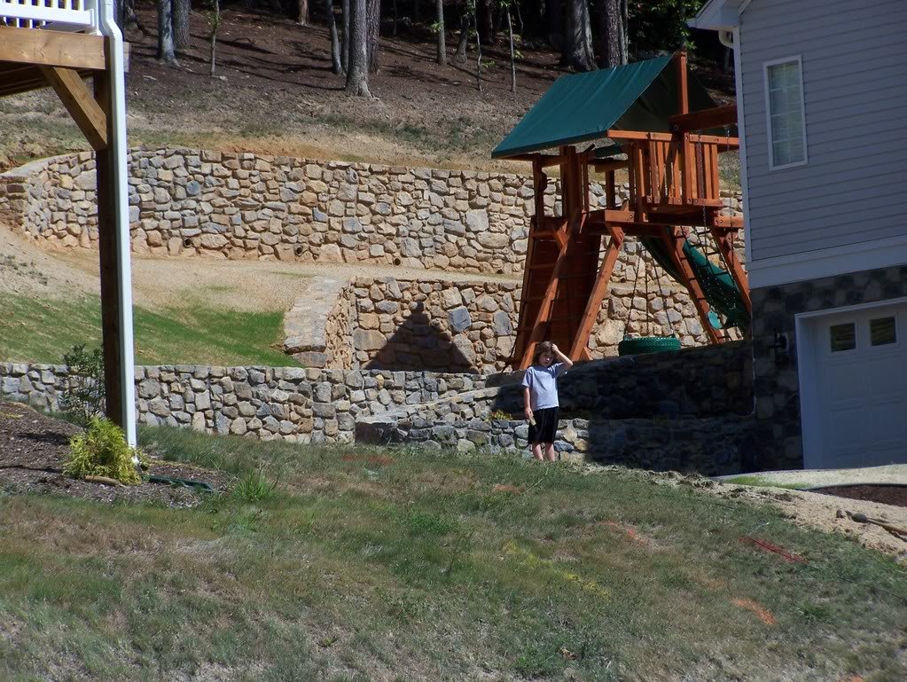 Landscapeproject-backisoview_814438115d5b3f18327fa153952a69f2902850ff.jpg