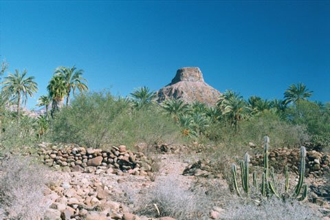 LaPurisima_428ee6a020789d07dd85993a3e22da924914d4b4.jpg