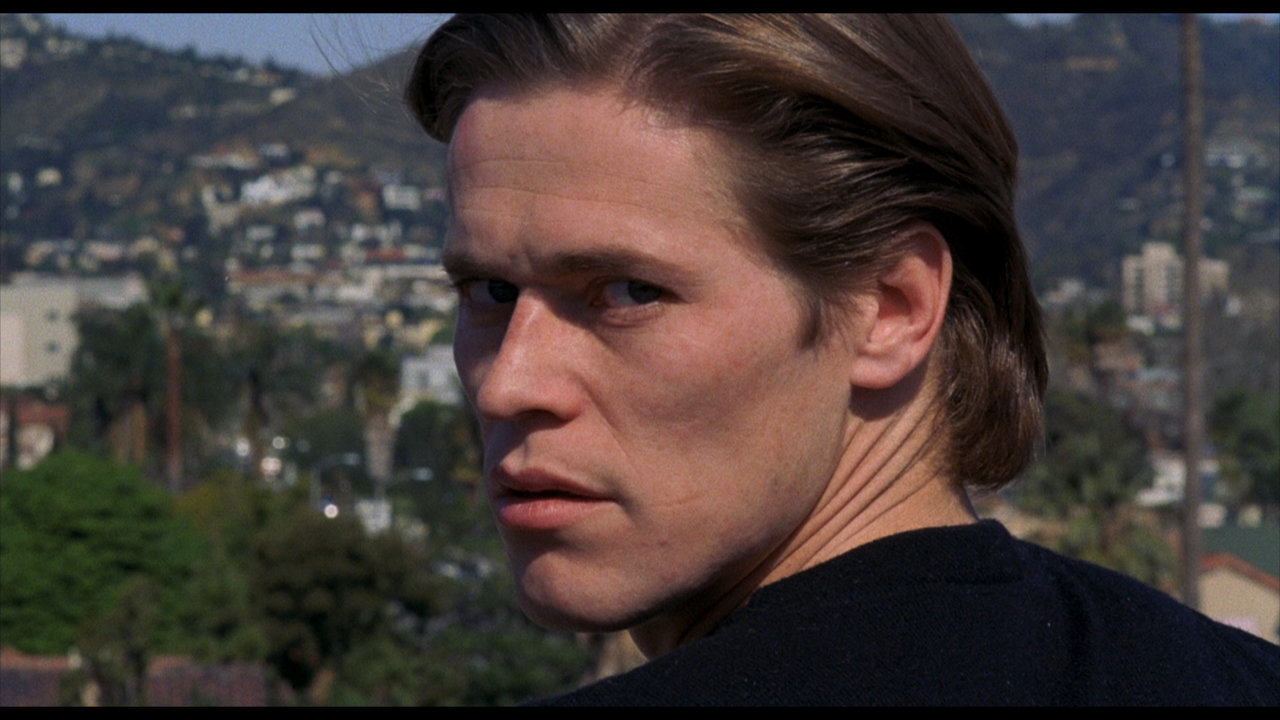 large_to_live_and_die_in_la_blu-ray_9.jpg