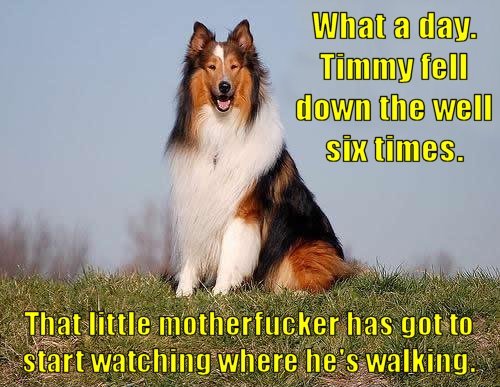 Lassie.jpg
