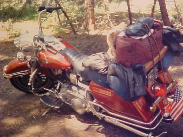 LAST YEAR SHOVEL-HEAD (83).jpg