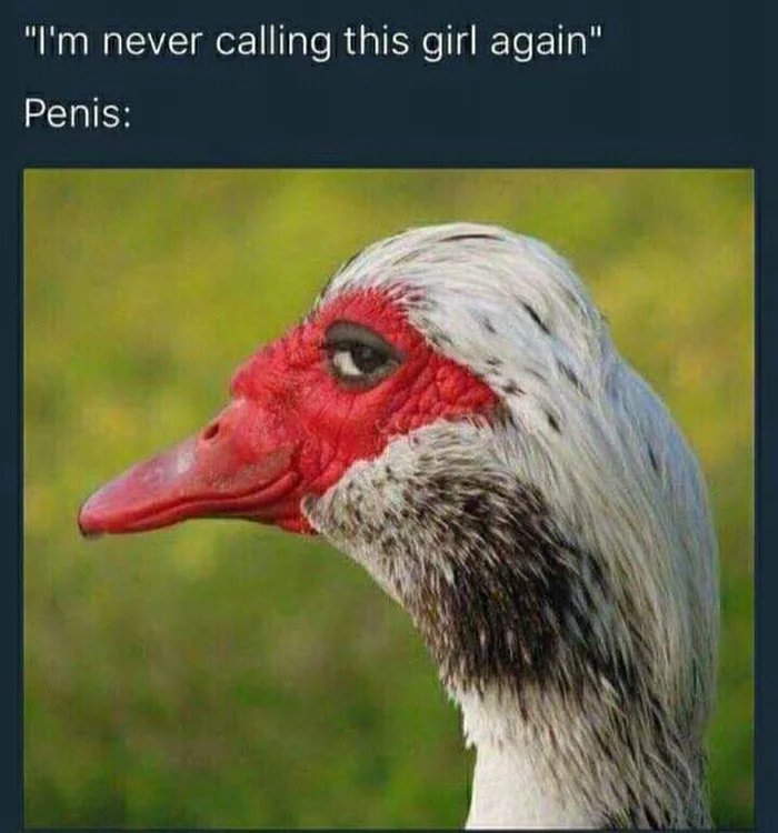 Laughed-so-hard-at-that-look.jpg