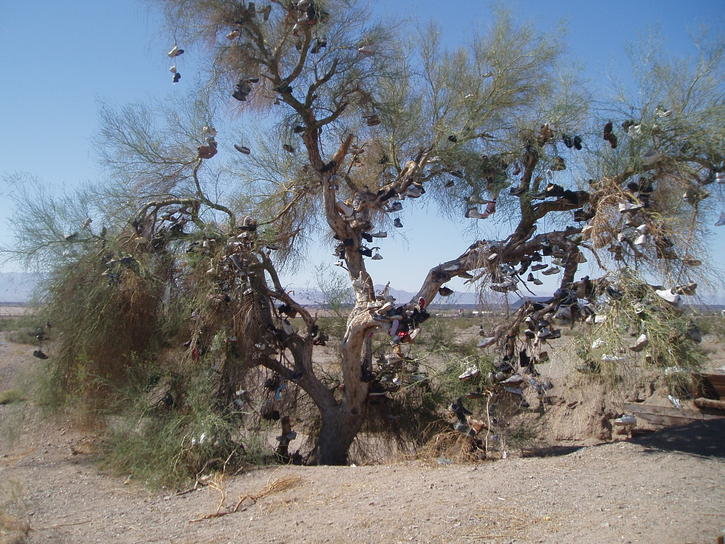 Laughlin&Havasu2007 115.jpg
