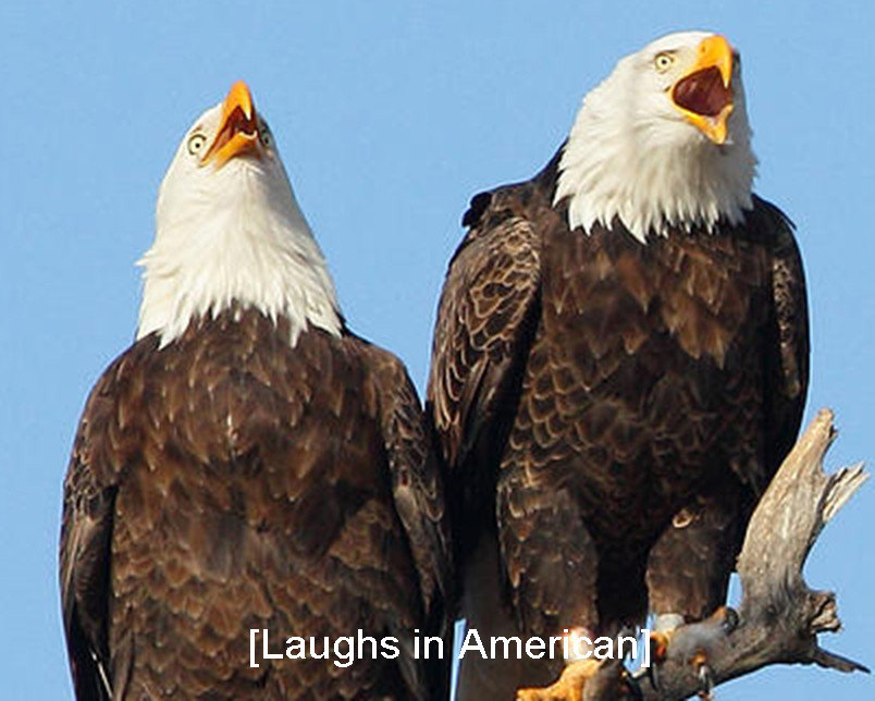 Laughs.jpg