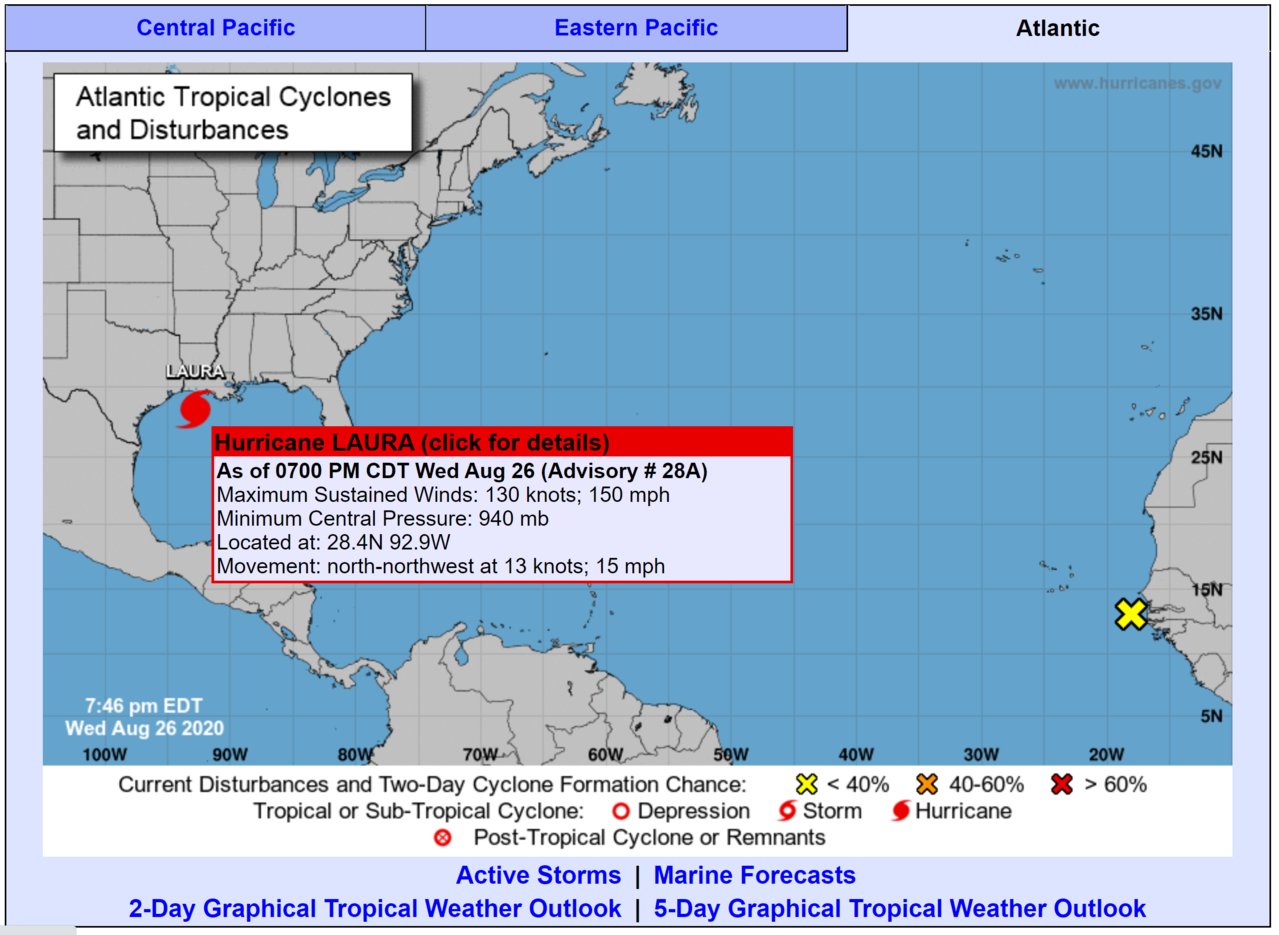 Laura Cat 4.jpg