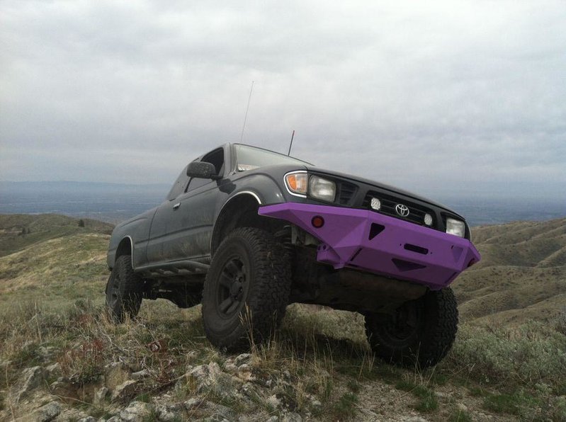 lav.jpg