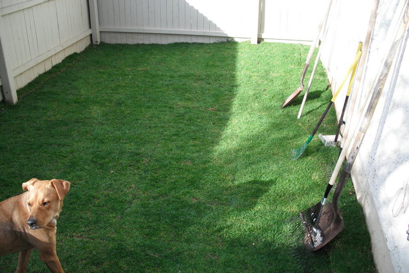 Lawn 3.0 001.jpg