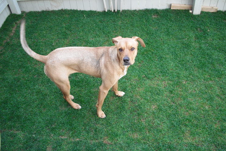 Lawn 3.0 004.jpg