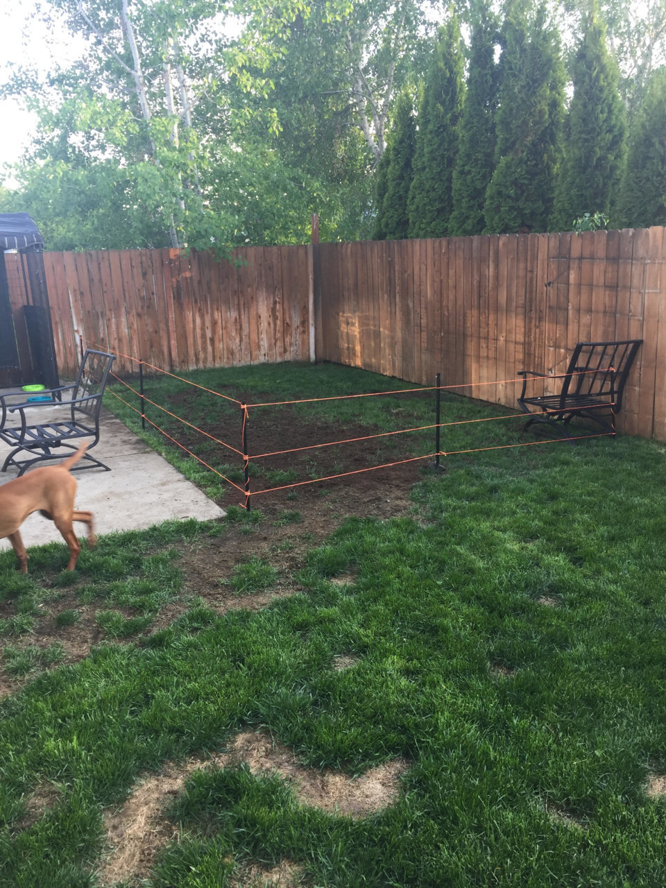 lawn.jpg